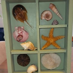 Ocean shadow box